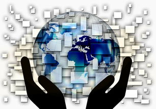 开云体育官方下载-中国篮球青训体系课程体系优化方案，青训篮球课程教案大全