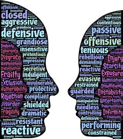 开云体育场-大学生运动行为与自我效能感的交互关系研究，运动自我效能感量表