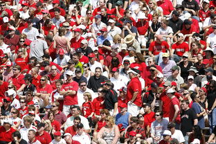 开云体育网页版-高校体育赛事观众体验提升策略研究，体育赛事审美体验